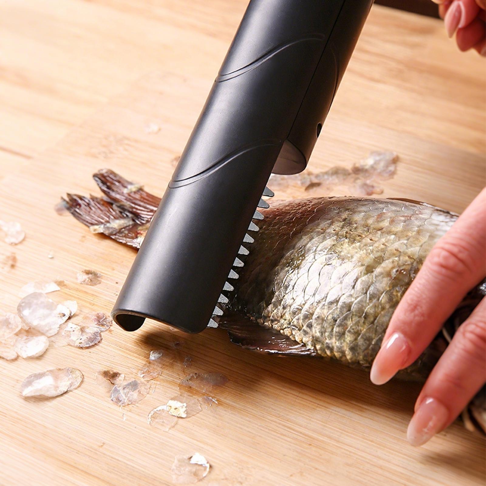 Fruit Grater Cordless Handheld - Meal Prep Seafood 评论和价格
