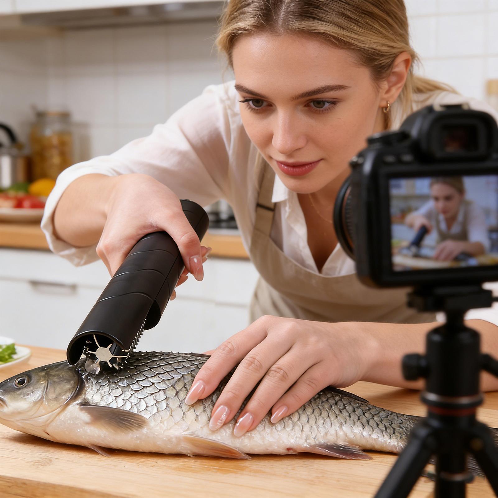 Fruit Grater Cordless Handheld - Meal Prep Seafood 评论和价格