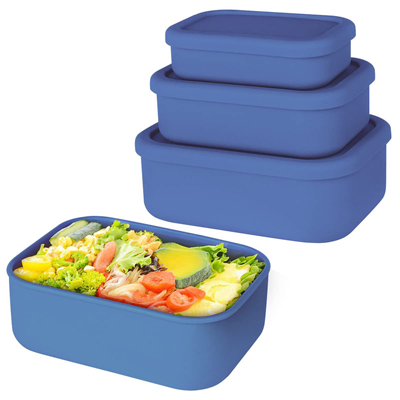 Leak-Resistant Bento Lunch Box - Meal Prep Lunch Boxes 评论和价格
